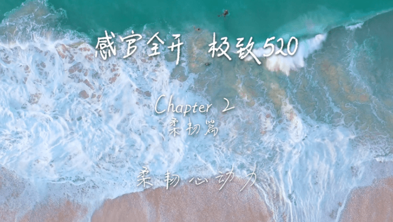 感官全开，极致520